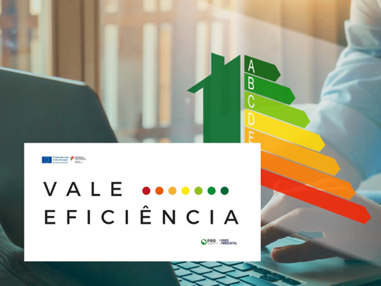 Vale Eficiencia 2024